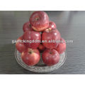 Manzana roja deliciosa 100-125 18kg
